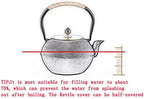 tetsubin cast iron kettle workshop japanese Healthy cast iron Teapot with Stainless Steel Infuser （600mL）【1.0Kg】 - Image 4