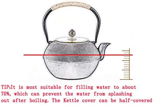 tetsubin cast iron kettle workshop japanese Healthy cast iron Teapot with Stainless Steel Infuser （600mL）【1.0Kg】 - Image 4
