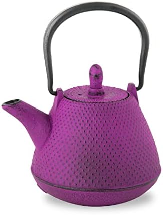 Roji Associates Cast Iron Teapot, Nanbu Tekki Teapot, ARARE - Dome Type, Made in Japan, with Tea Strainer, Inner Enamel Finish, Purple (13.53 fl oz) by NOREN