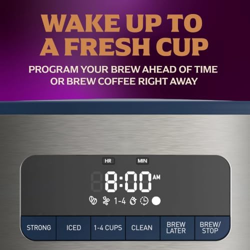 Mr. Coffee® 12 Cup Coffee Maker, Programmable Coffee Maker with Strong Brew and Iced Coffee Brew Settings, Small Batch Setting for 1 to 4 Cups, Abyss Blue - Image 3