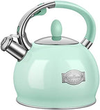Tea Kettle Stovetop, 2.64 Quart Food Grade Whistling Tea Pot, Mint Green by RETTBERG
