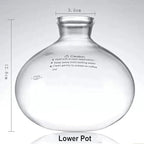 Borosilicate Glass Syphon Brewer, 5 Cups(500ml) Syphon Coffee Maker, Vacuum Coffee Pot with Stainless Steel Stand,High-Temperature Resilience, for Coffee Aficionados - Image 6