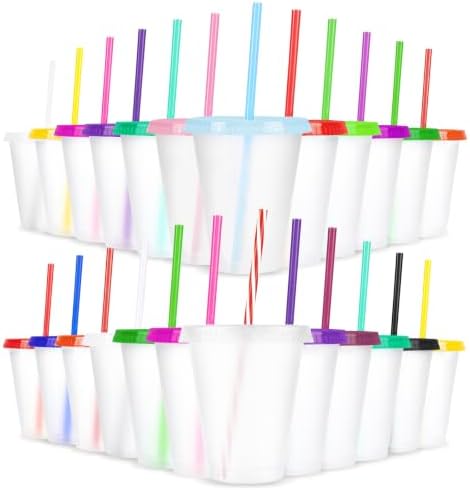 24 Pcs Plastic Tumblers with Lids and Straws, Reusable Cups with Lids Plastic Colorful Cups for Party Birthday, Iced Coffee Cup Travel Mug Cold Drink Cups Tumblers Bulk (16 oz, Clear Color) by LEIFEOSH