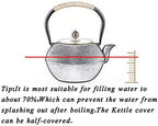 tetsubin Cast iron Tea Kettle workshop Healthy japanese Tea pot with Stainless Steel Infuser（40 oz） - Image 3
