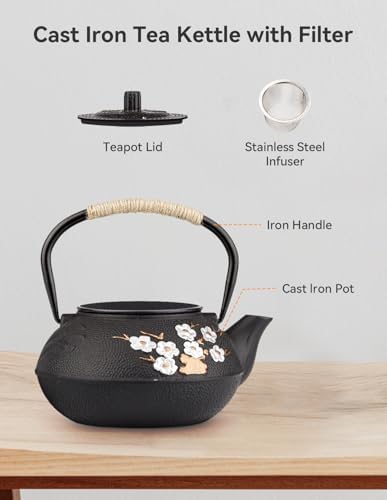 Japanese Cast Iron Teapot, 20oz/600ml Cast Iron Tea Kettle - Image 2