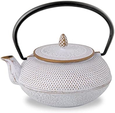 【Roji Associates】 Cast Iron Teapot, Nanbu Tekki Teapot, (ARARE - Round Type), Made in Japan, with Tea Strainer, Inner Enamel Finish, Teapot, Color pot, Open fire Ban (20.29 fl oz/White) by NOREN