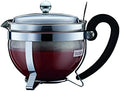 BODUM 12030-16 CHAMBORD Teapot, 16.9 fl oz (500 ml), Silver, Green Tea, Chinese Tea, Herbal Tea, Fruit Tea, Stainless Steel Filter, Glass Beaker, Dishwasher Safe by Bodum