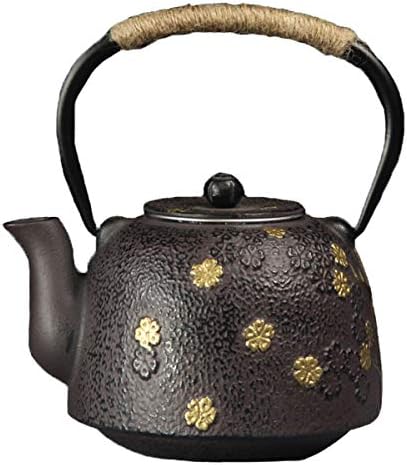 tetsubin cast iron kettle workshop japanese Healthy cast iron Teapot with Stainless Steel Infuser （600mL）【1.0Kg】 by Unknown