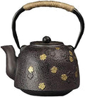 tetsubin cast iron kettle workshop japanese Healthy cast iron Teapot with Stainless Steel Infuser （600mL）【1.0Kg】 by Unknown