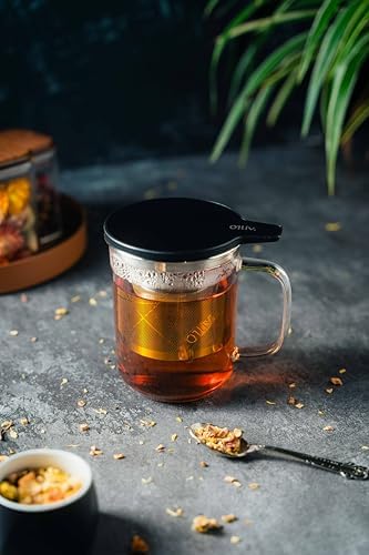 Glass Tea Cup with Infuser and Lid & Stainless Steel 400ml, Premium Borosilicate Tea Mug & Stainless Steel Filter, Heat-Resistant Brewing Set for Tea Lovers (Gift Ready Packaging) - Image 3