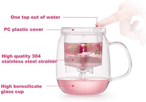 Japanese Cast Iron Tetsubin Teapot Glass Teapot 600ml with Heat Resistant Stainless Steel Infuser - Image 3