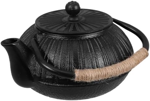 Cast Iron Teapot for Brewing Water 600ml with Tea Filter by PRETYZOOM