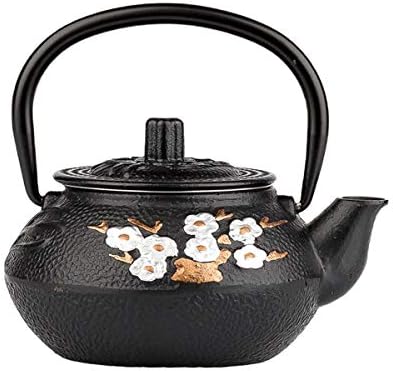 tetsubin cast iron teapot japanese tea kettle workshop with Stainless Steel Infuser(Plum bamboo pattern 10oz）【1.54 lb】 by Unknown