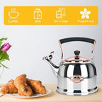 Tea Kettle Stainless Steel Teapot, Stainless Steel Teakettle for Stove Top with Heat Proof Ergonomic Handle 3.0 Quart - Image 5