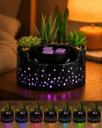 Ceramic Wax Melt Candle Warmer 4-in-1, Flameless PTC Heating with 7-Color LED Night Light, Electric Essential Oil Diffuser, Zen Design Marble Succulent Pot, for Yoga Room Home Office Decor by Waxarapy