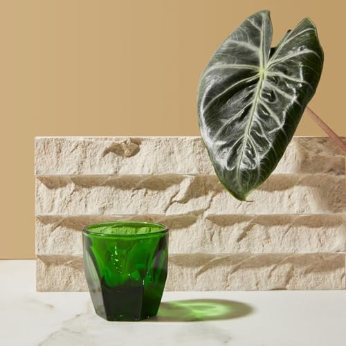 notNeutral Vero Glass (Emerald) (4, 4.25 oz.) - Image 4