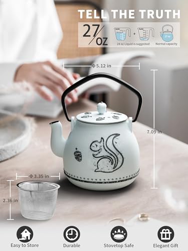 Toptier Teapot with Removable Infuser, Cast Iron Tea Kettle Stovetop Safe, Squirrel Design Tea Pot Coated with Enameled Interior for 32 Ounce (950 ml), Light Blue - Image 3