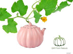 VICSKY Pink Pumpkin Cast Iron Teapot - Cute Tea Kettle Stovetop Safe - Image 6