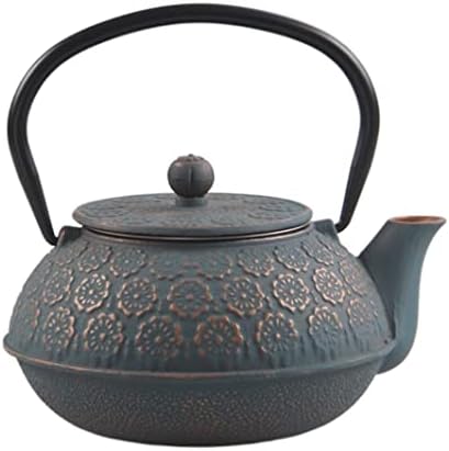 Tea Kettle 20oz/0.6L Teapot Cast Iron Tea Kettle Pot with Infuser Japanese Style Home Teapots(B) by Unknown