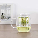 Japanese Cast Iron Tetsubin Teapot Glass Teapot 600ml with Heat Resistant Stainless Steel Infuser - Image 6