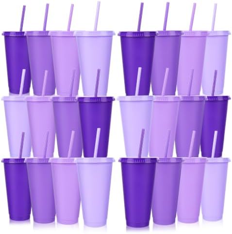 24 Pack Plastic Tumblers with Lids and Straws, Reusable Cups with Lids Plastic Colorful Cups for Parties Birthdays, Iced Coffee Cup Cold Drink Cups Bulk Tumblers (24 oz, Gradient Purple Colors) by LEIFEOSH