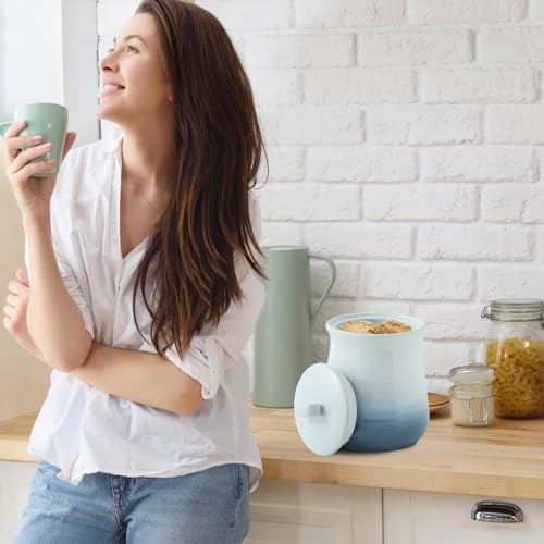 HASENSE Ceramic Jar with Lid, 88 FL OZ Large Food Storage Canister for the Kitchen, Airtight Kitchen Containers for Tea, Coffee Bean, Pet Food, Cookies and More, Gradient Light Blue - Image 2
