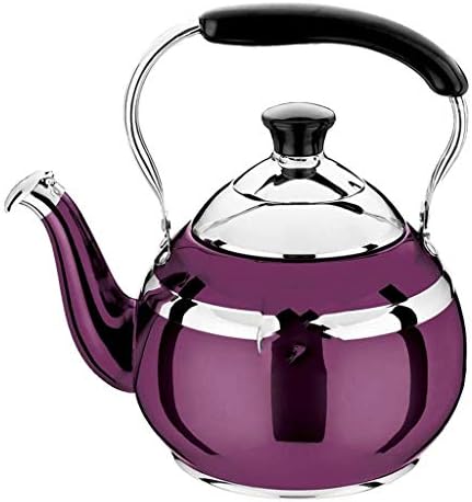 Mirror Polished Stless Steel Fluting Kettle - 1L Retro Spout Water Boiler for Tea & Coffee Stylish Purple Design Ideal for Kitchen & Home Use by Unknown