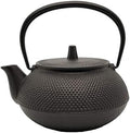 12802 No enamel hail new type 5 Southern Iron teapot by Iwachu