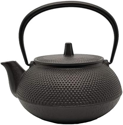 12802 No enamel hail new type 5 Southern Iron teapot by Iwachu