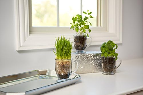 Anchor Hocking Café Glass Coffee Mugs, 16 oz, Set of 6 - Image 5