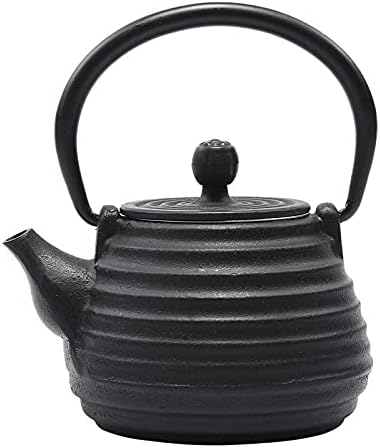 Cast Iron Tea Pot Set Japanese teapot tetsubin Kettle Drink Kungfu Tools Stainless Steel Sieve Ellipse Tea Kettle 500ml-As Shown (Stainless Steel) by Unknown