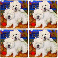 CafePress West Highland Terrier Westie Tumbled Stone - Set of 4 Coasters Set of 4 by CafePress