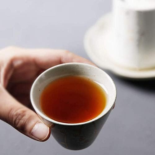 SGSG Japanese Cast Iron Tetsubin Teapot Travel Kungfu Tea Set Handmade Chinese/Japanese Vintage, Porcelain Tea Accessories - Image 5