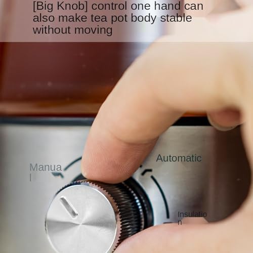 Electric Kettle with Temperature Control Removable Tea Infuser - Image 5