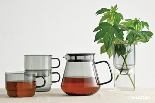 Hario Color Glass Coffee and Tea Server, 600ml Grey - Image 2
