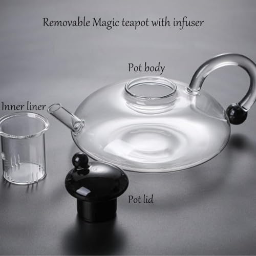 Sereno Filtration Teapot Set, Innovessa Tea Pot, 20oz Sereno Filtration Glass Teapot Set with Infusers for Loose Tea(Black) - Image 3