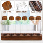 Zerodeko Glass Coffee Bean Storage Tubes and Wooden Display Stand with Lids - Image 7