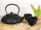 Ebros Gift Traditional Tetsubin Feng Shui Black Tombo Dragonfly Engraved Heavy Cast Iron Tea Pot And Cups Set Serves 2 Home Decor Zen Asian Fusion And Housewarming Accent Decorative Teapots - Image 5