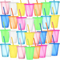 Sieral 30 Pack Reusable Plastic Cups with Lids Straws,Clear Multicolor by Sieral