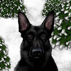 CafePress Black German Shepherd Dog Winter Tumbled Stone - Set of 4 Coasters Set of 4 - Image 2