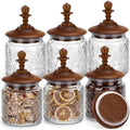 Suclain 6 Pack 17 oz Glass Spice Jars with Dark Wood Lids Vintage Canisters with Garden Pattern Airtight Food Storage Container for Home Kitchen Tea Coffee Spice Pantry Organization Decorations by Suclain