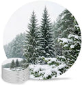 Natural Landscape Coasters for Drinks, Set of 8 Winter Snow-Covered Pine Trees Green Absorbent Ceramic Coaster with Cork Base Decor for Wooden Table & Bar, Housewarming Gift Home Decor by TSRSUNFLOWER