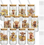 Teenyyou 12 Set of Glasses with Bamboo Lid and Glass Straw 16 oz(Highland Cow) by Teenyyou
