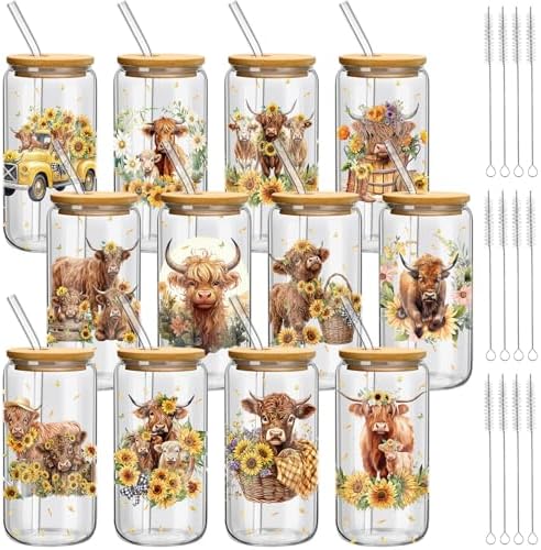 Teenyyou 12 Set of Glasses with Bamboo Lid and Glass Straw 16 oz(Highland Cow) by Teenyyou