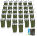 IEOVIEE 32 Pack 20oz Stainless Steel Insulated Bulk Tumblers with Lid&Straw by IEVOIEE