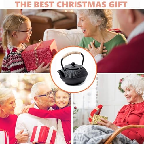 Japanese Tetsubin Cast Iron Teapot, Iron Tea Pot with Infuser for Loose Tea, Cast Iron Tea Kettle Stovetop Safe, Teapot Coated with Enameled Interior, 600ml/20oz - Image 3