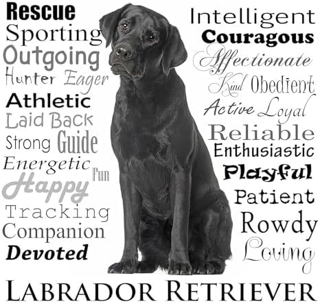 CafePress Black Lab Traits Tumbled Stone - Set of 4 Coasters Set of 4 w/holder - Image 2