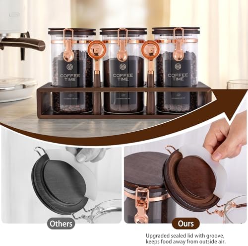 3 Piece Airtight Glass Coffee Canister Set, 42oz Food Safe Storage Jars with Wooden Shelf & Scoop, Sealed Countertop Organization Canisters for Coffee Beans, Tea, Sugar - Image 3