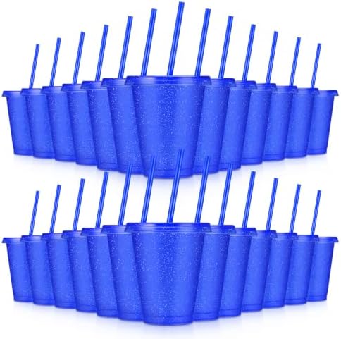 24 Pcs Plastic Tumblers with Lids and Straws, Reusable Cups with Lids Plastic Colorful Cups for Party Birthday, Iced Coffee Cup Travel Mug Cold Drink Cups Tumblers Bulk (16 oz, Dark Blue) by LEIFEOSH