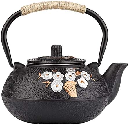 tetsubin cast iron teapot japanese tea kettle workshop with Stainless Steel Infuser(Plum bamboo pattern 20oz）【2.1 lb】 by Unknown
